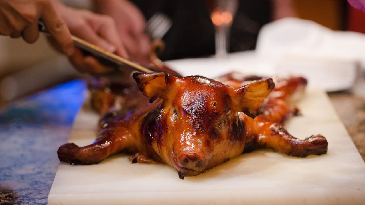 పందుల టేస్టే నచ్చిందట