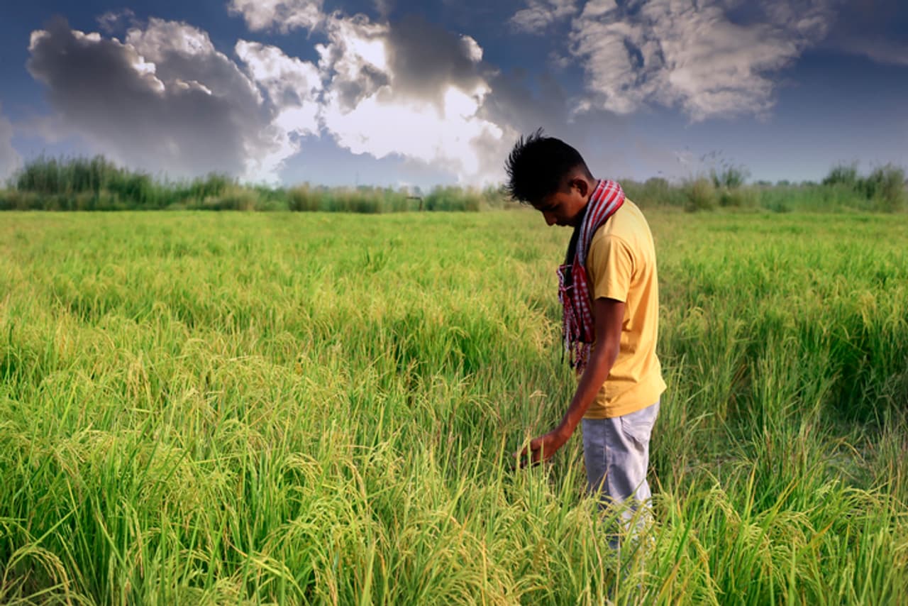 பூமிக்கு வந்த புதிய பேராபத்து