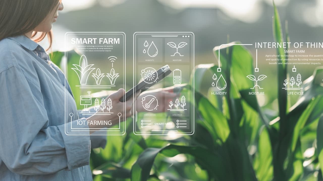 कृषि में ग्रेजुएशन के बाद क्या करें? करियर जॉब ऑप्शन कृषि में ग्रेजुएशन के बाद क्या करें? करियर जॉब ऑप्शन