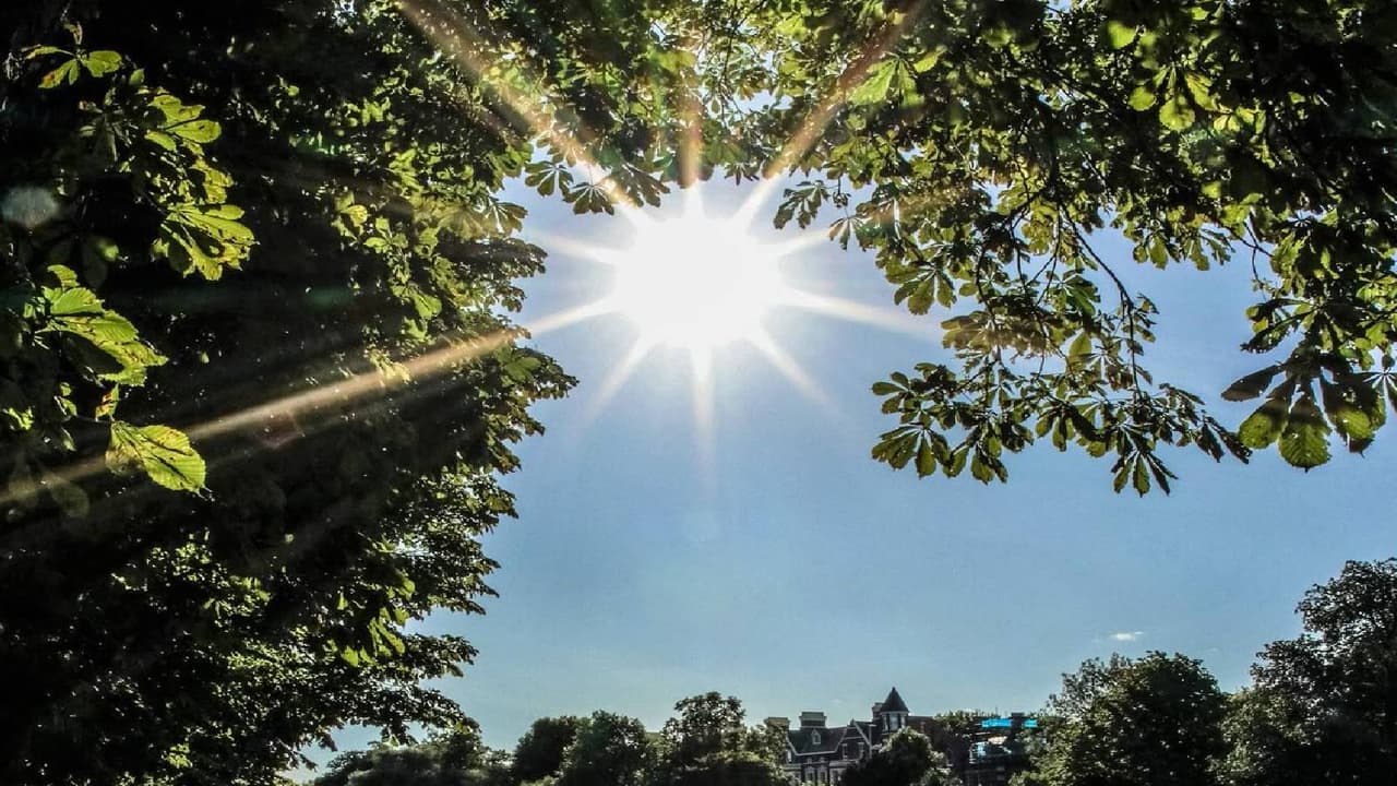 महाराष्ट्रात हवामानाचा ‘यू टर्न’! 