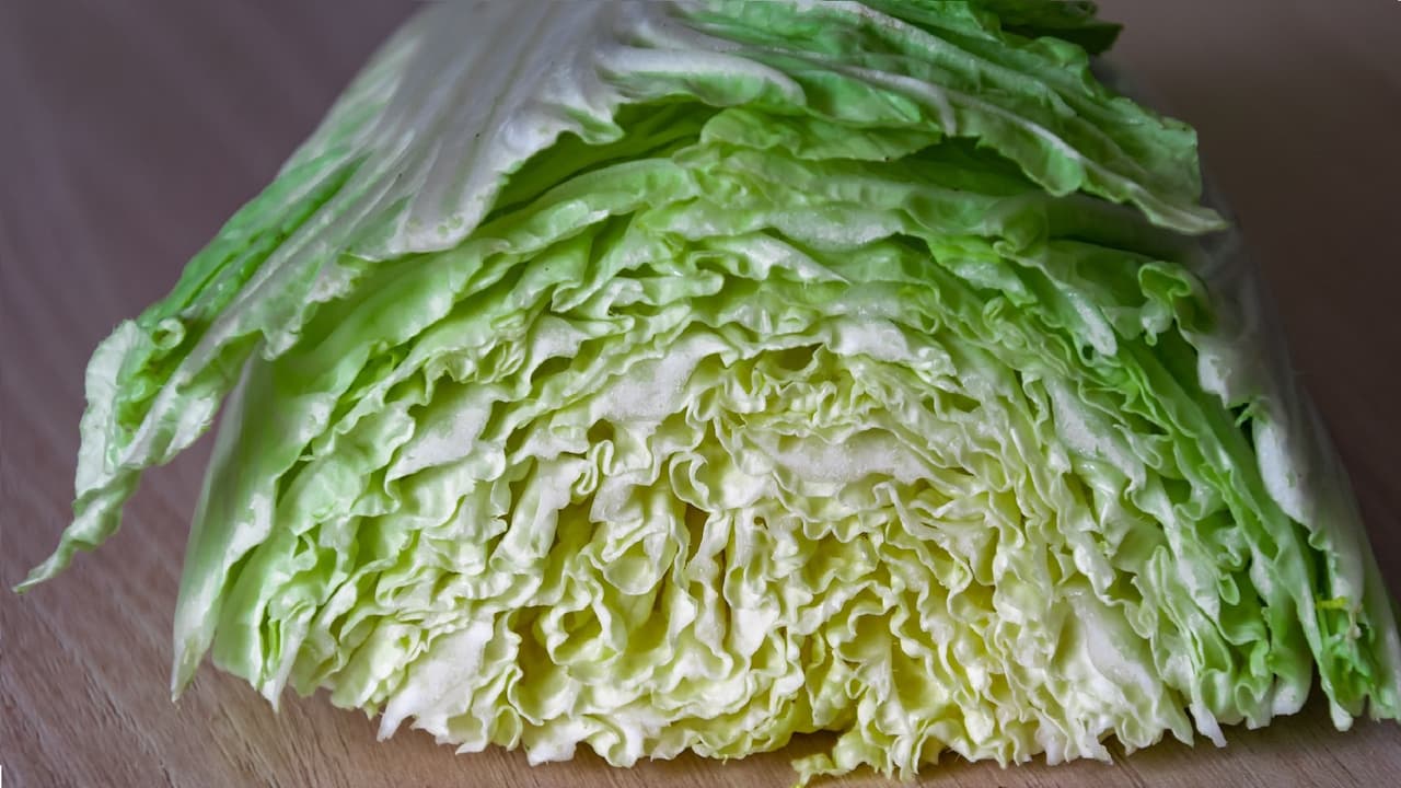 క్యాబేజీ తింటే మెదడులోకి పురుగులు క్యాబేజీ తింటే మెదడులోకి పురుగులు