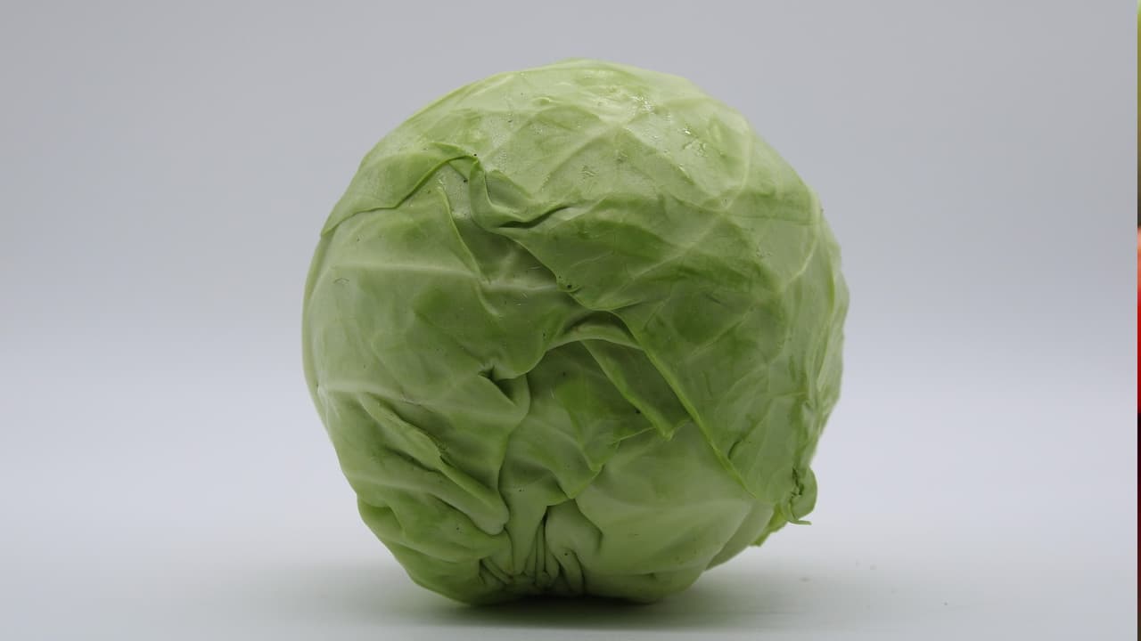 క్యాబేజీ