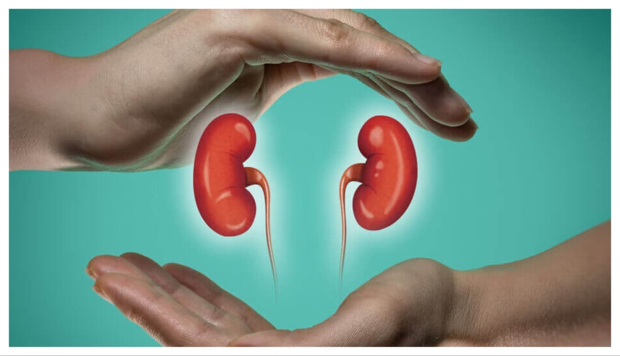 కిడ్నీల ఆరోగ్యానికి మేలు చేసే పండ్లు