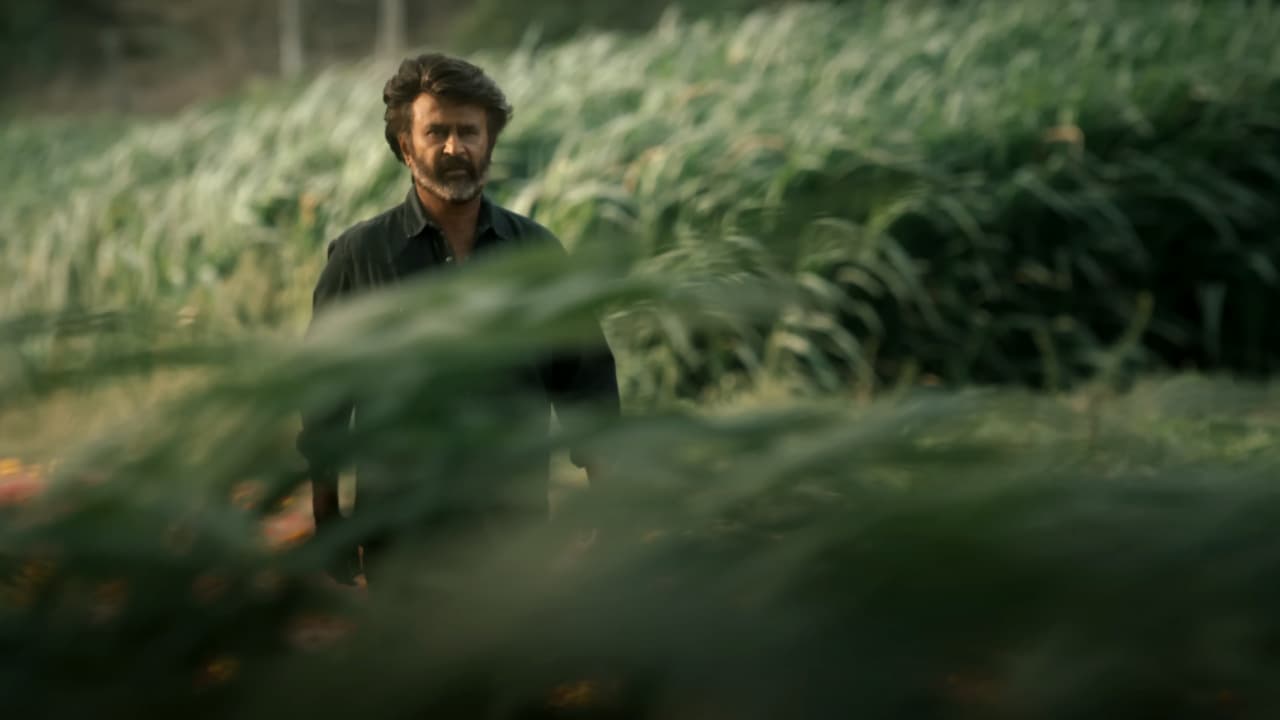 Coolie Box Office Collection Drops Coolie Box Office Collection Drops