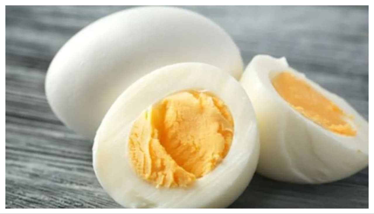 Eggs: A Great Source of Protein