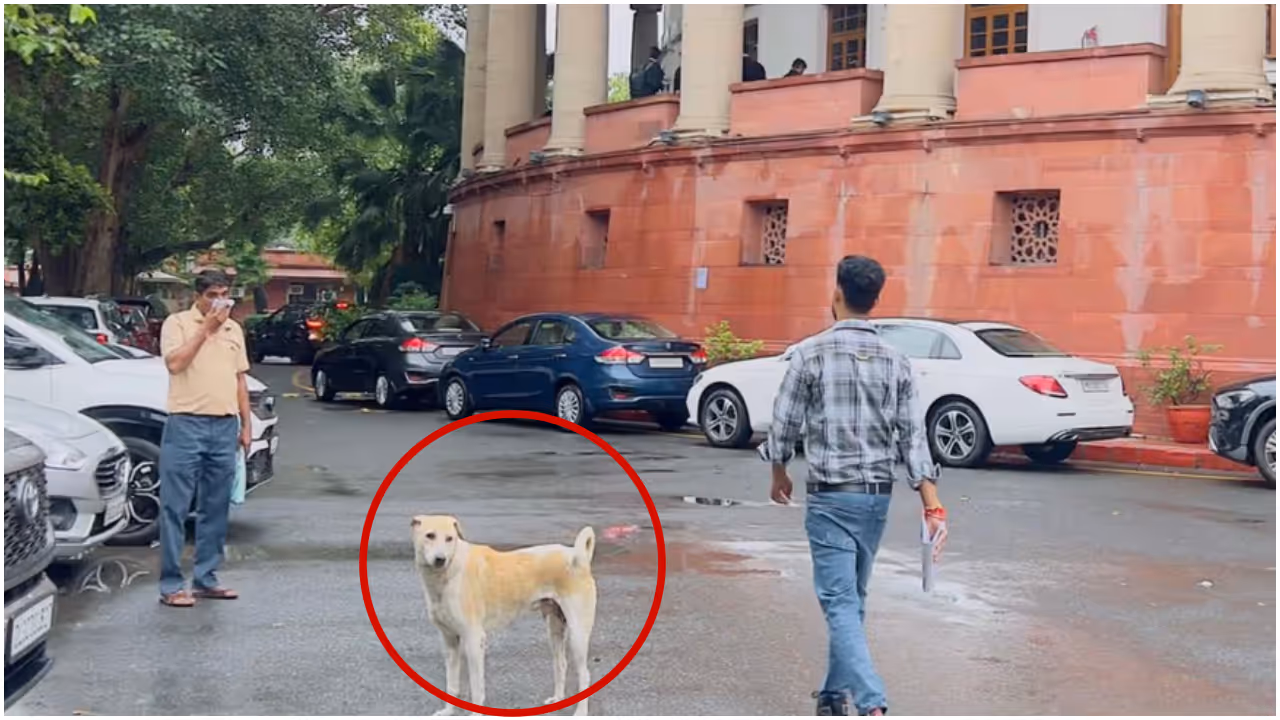 রায় সংশোধন রায় সংশোধন