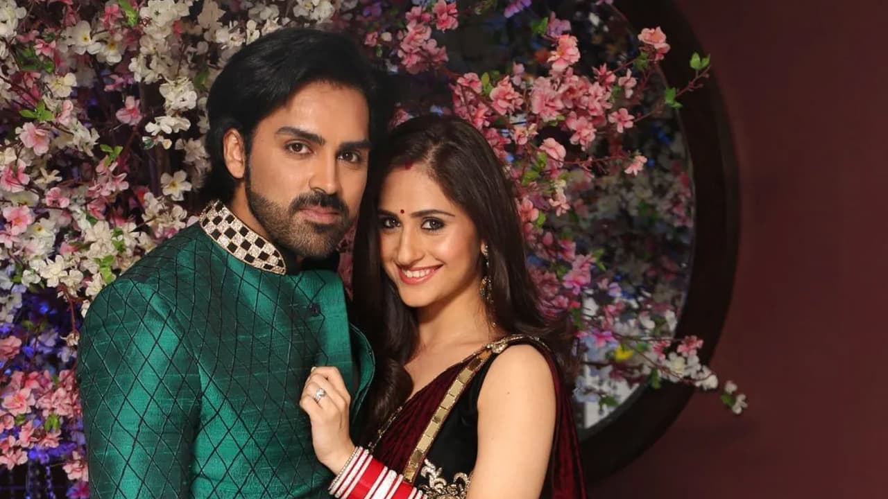 हुनर हाली और मयंक गांधी ने कब शादी की थी?