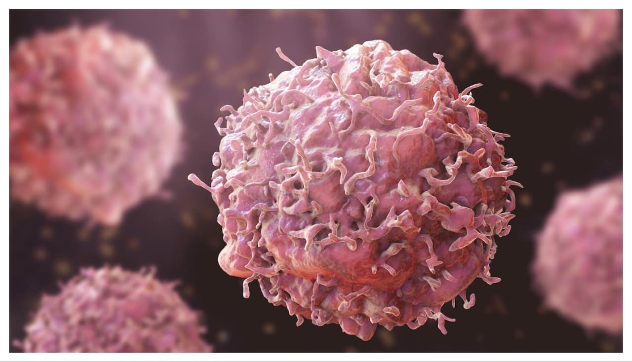 நார்ச்சத்து உணவுகள்