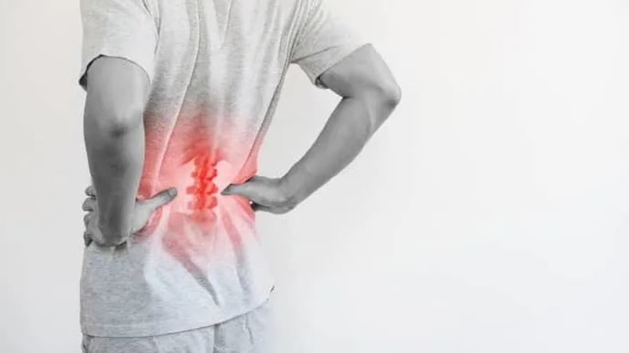 Best Foods For Back Pain Prevention