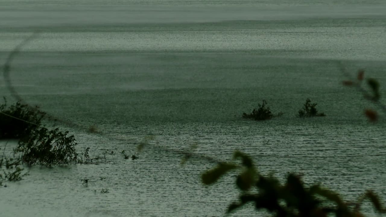 বদলে যাবে আবহাওয়া?