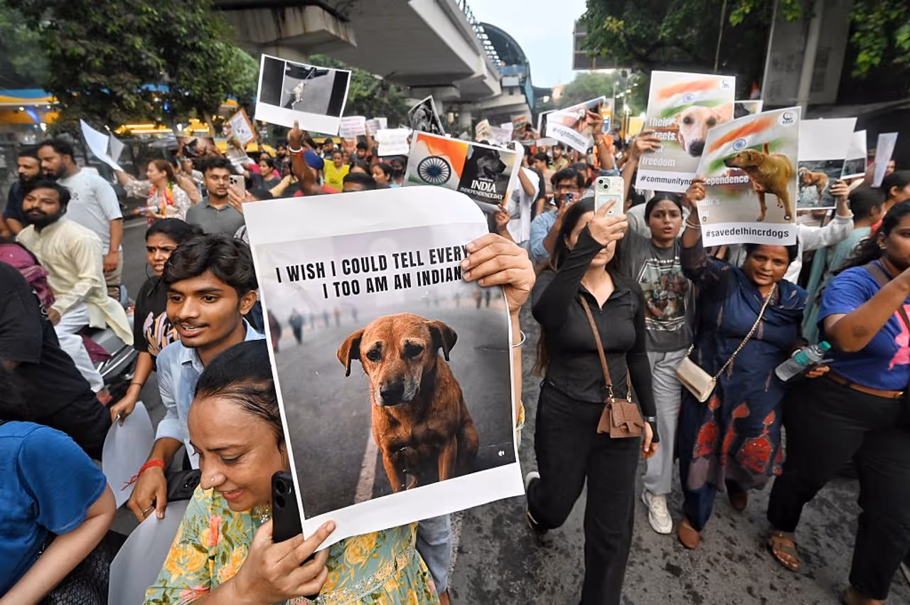 Protests Against SC Decision to Relocate Stray Dogs 
