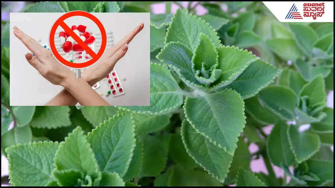 ಹಲವು ಸಮಸ್ಯೆಗಳಿಗೆ ರಾಮಬಾಣ