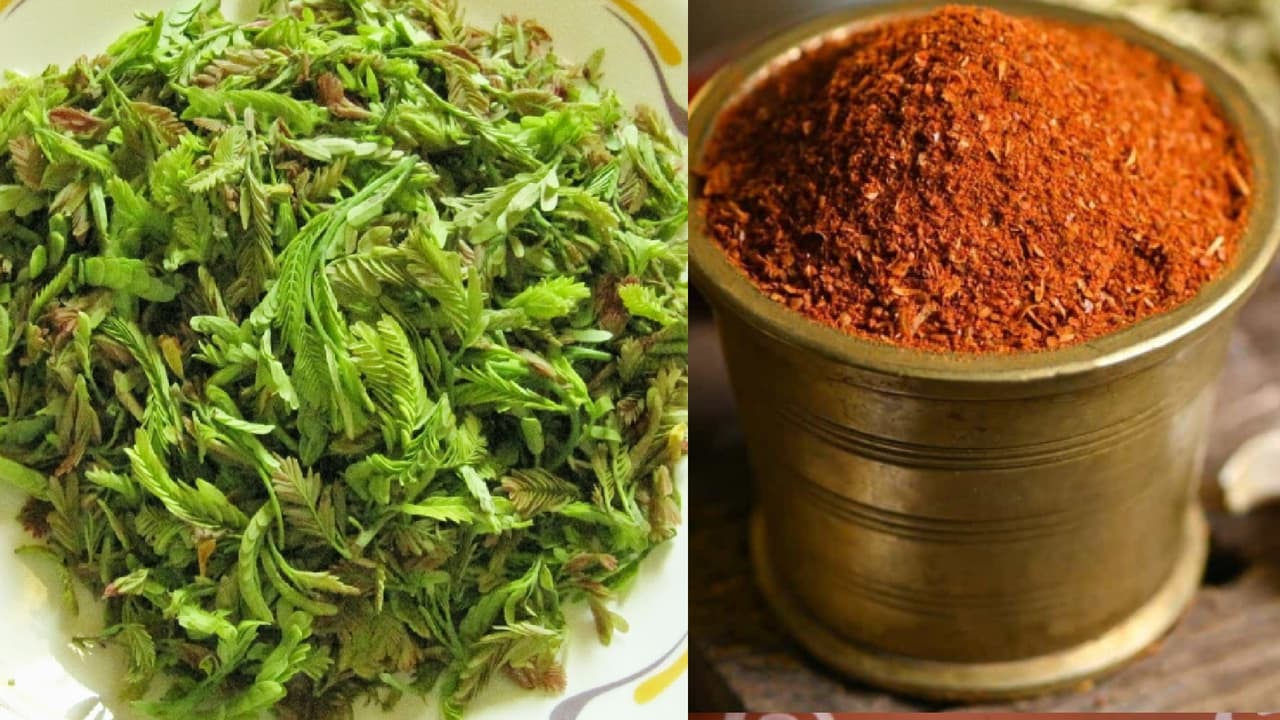 చింత చిగురుతో అదిరిపోయే రెసిపీ