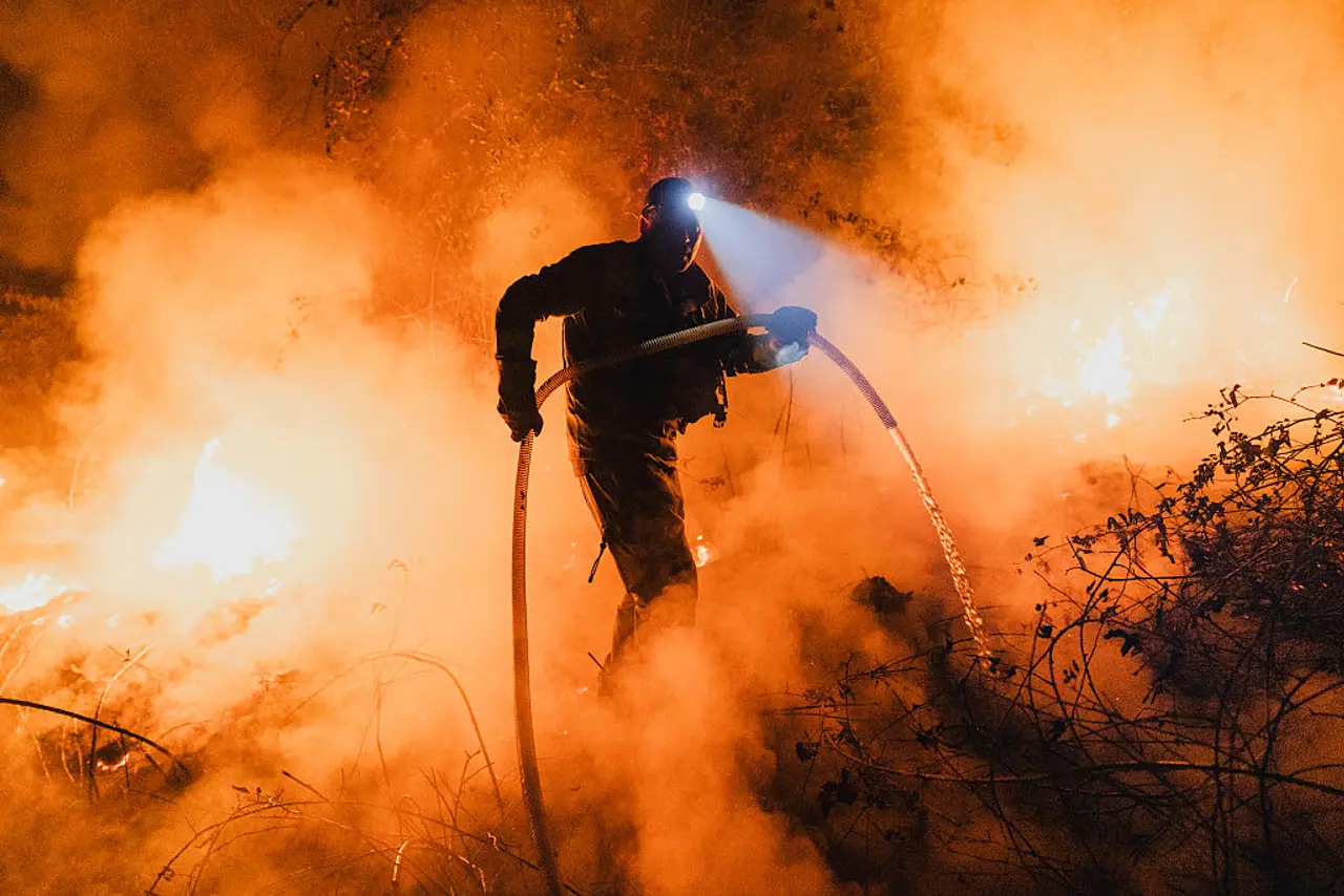 Half a Million Football Fields Burnt