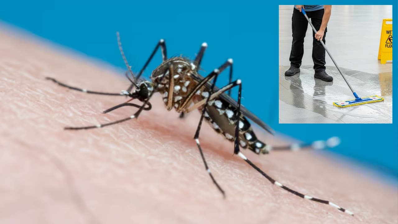 ఇల్లు తుడిచే నీళ్ల‌లో