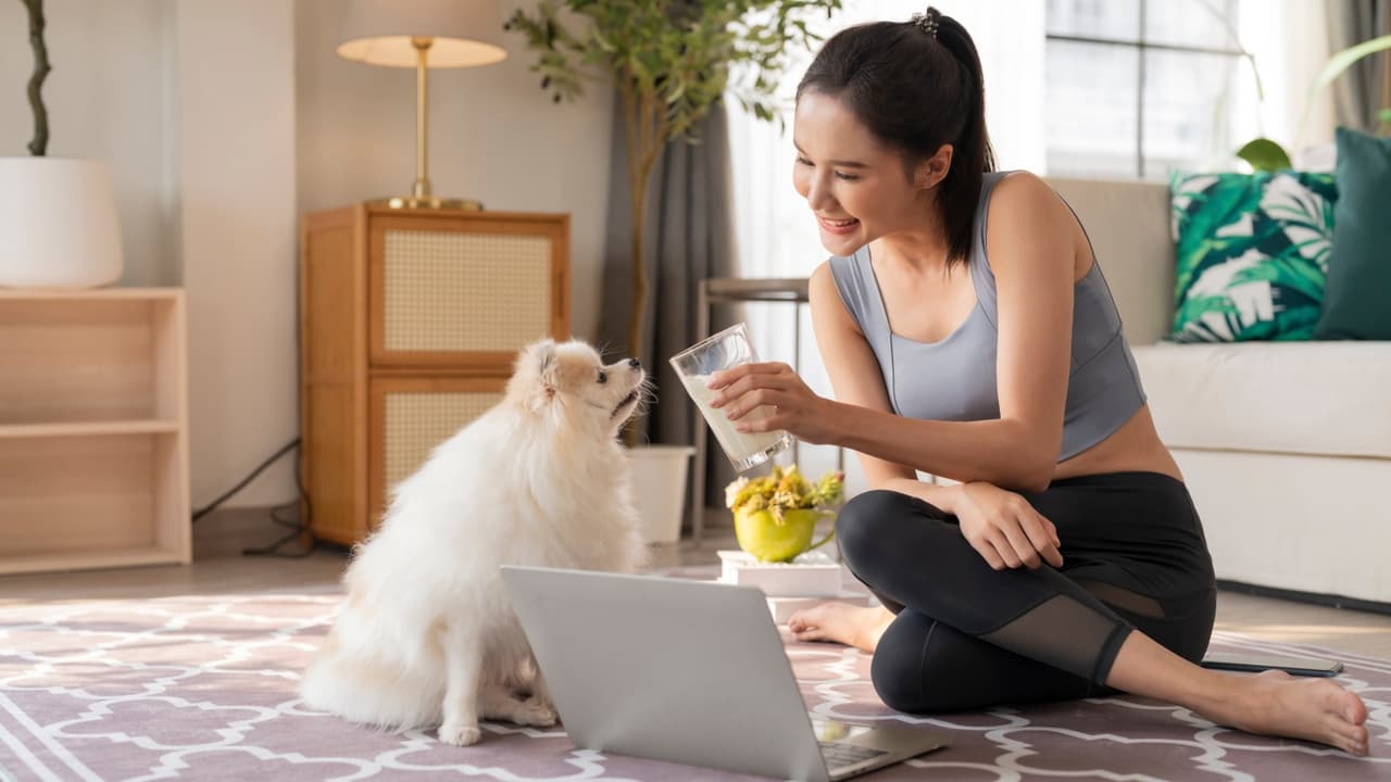 பெட் நியூட்ரிஷனிஸ்ட் பணி: ஒரு வளர்ந்து வரும் துறை