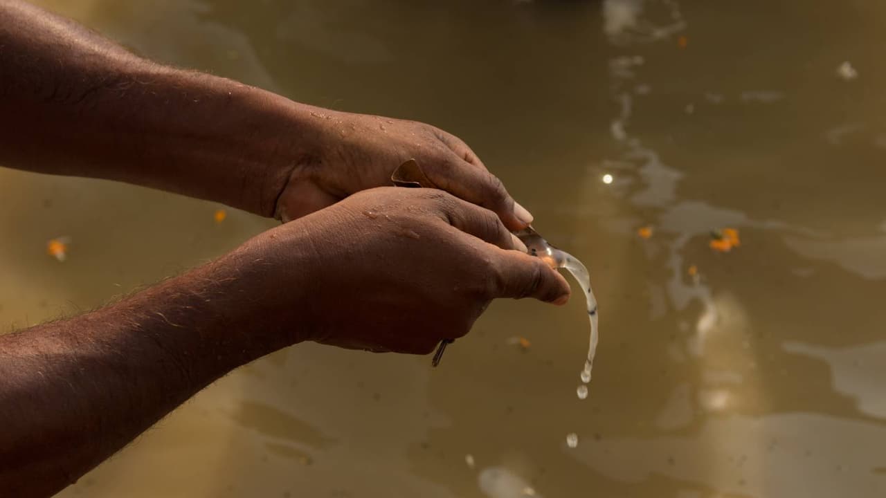 ఆదివారం అమావాస్య