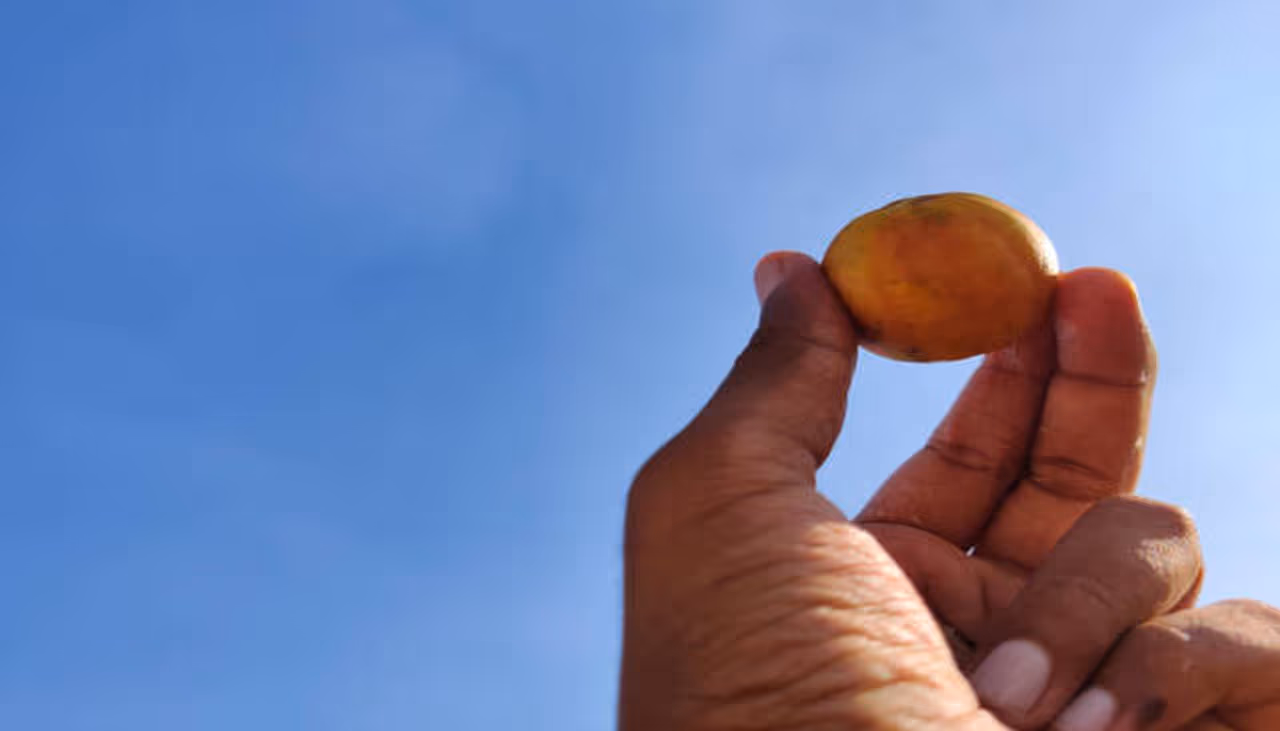 Dried Lemon for Cleaning