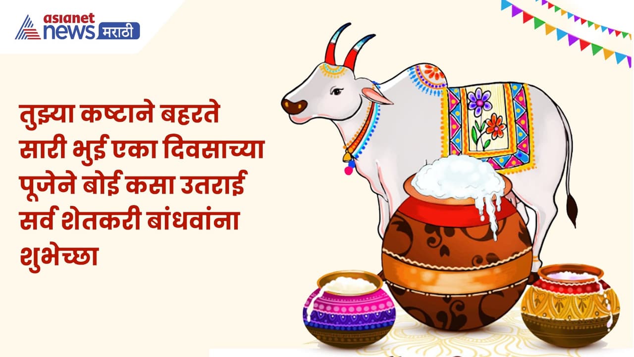 Bail Pola Wishes 2025