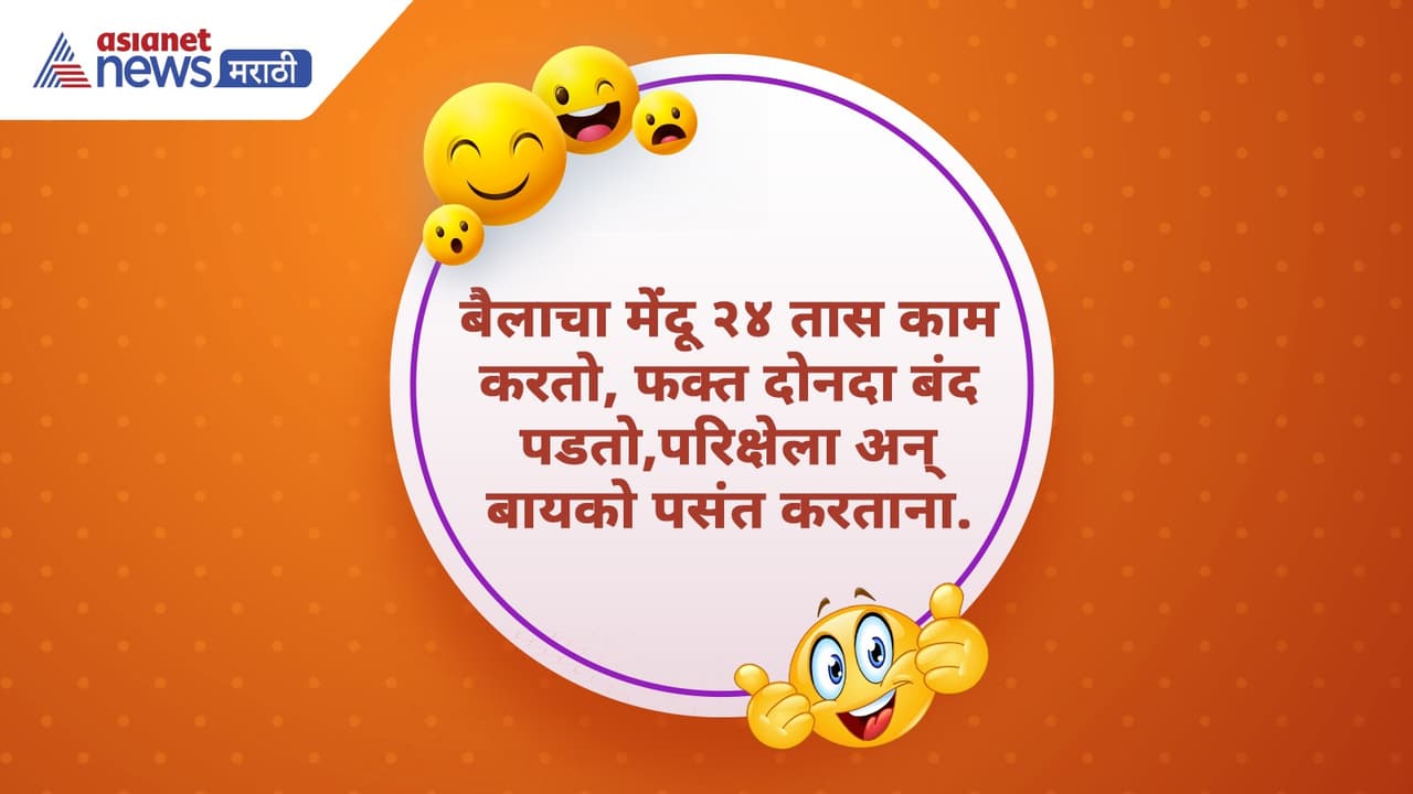 Bail Pola Funny Wishes 