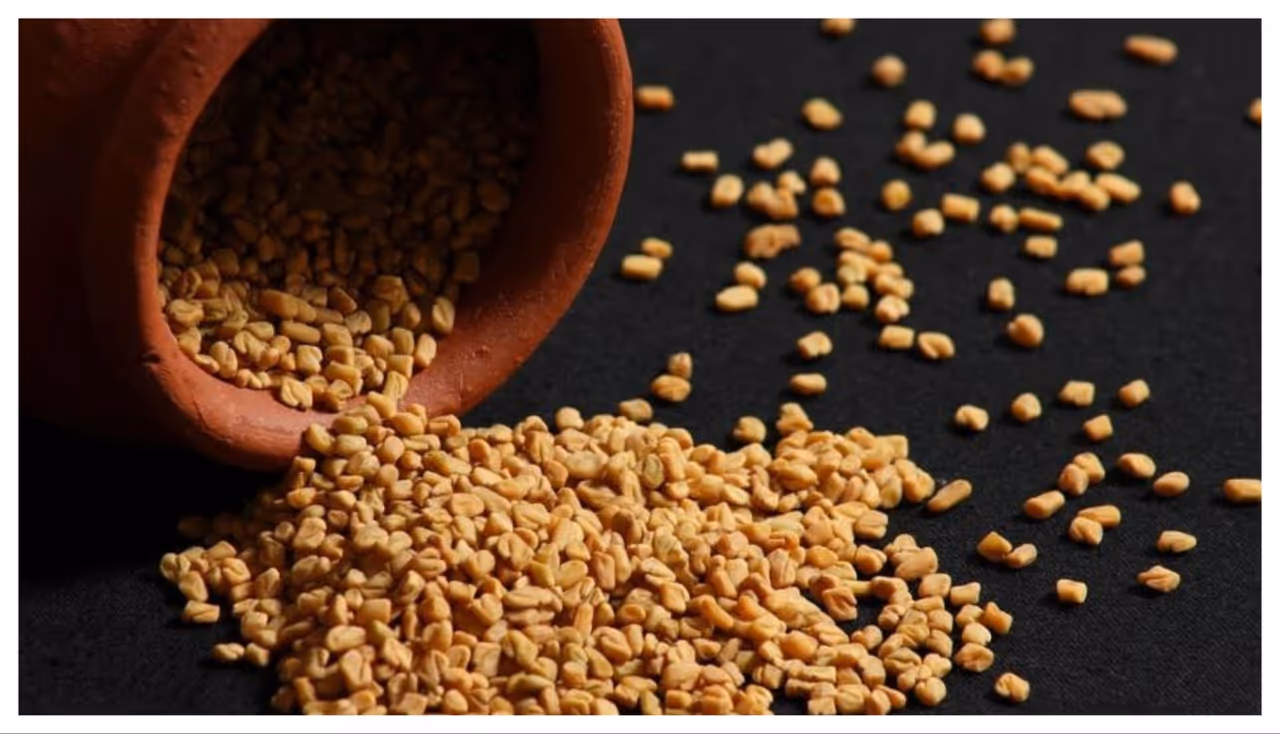 രാവിലെ വെറുംവയറ്റില്‍ കുതിര്‍ത്ത ഉലുവ കഴിക്കൂ; ഗുണങ്ങളറിയാം