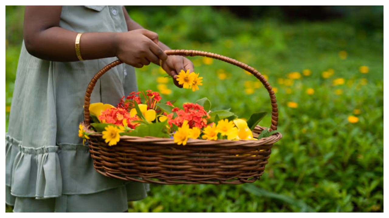 വീട് അലങ്കരിക്കാം വീട് അലങ്കരിക്കാം