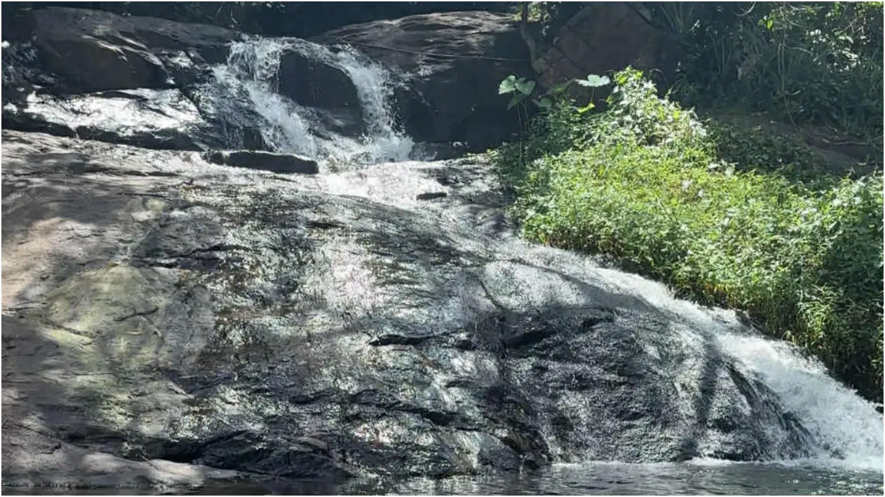 സഞ്ചാരികളുടെ തിരക്കില്ല സഞ്ചാരികളുടെ തിരക്കില്ല