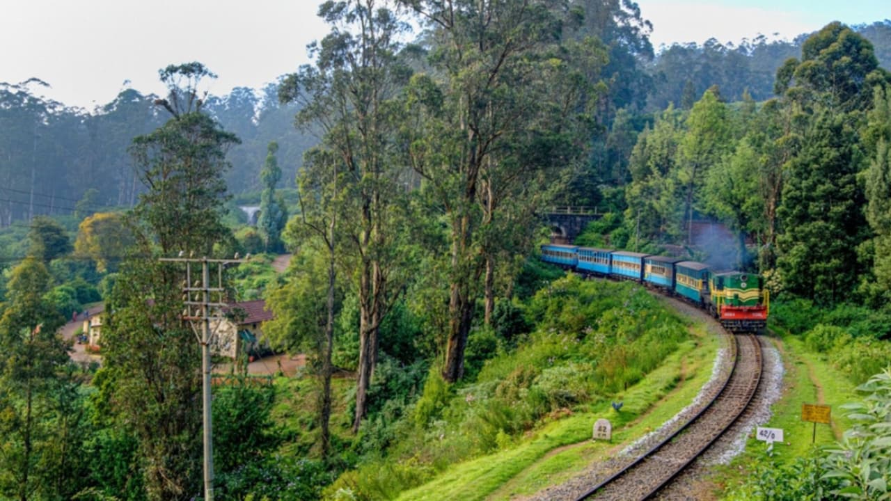 ಭಾರತದ ವಿಶೇಷ ರೈಲು ಭಾರತದ ವಿಶೇಷ ರೈಲು