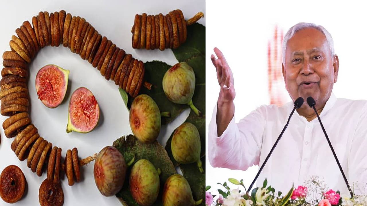 अंजीर फल विकास योजना से बिहार में किसान को फायदा अंजीर फल विकास योजना से बिहार में किसान को फायदा