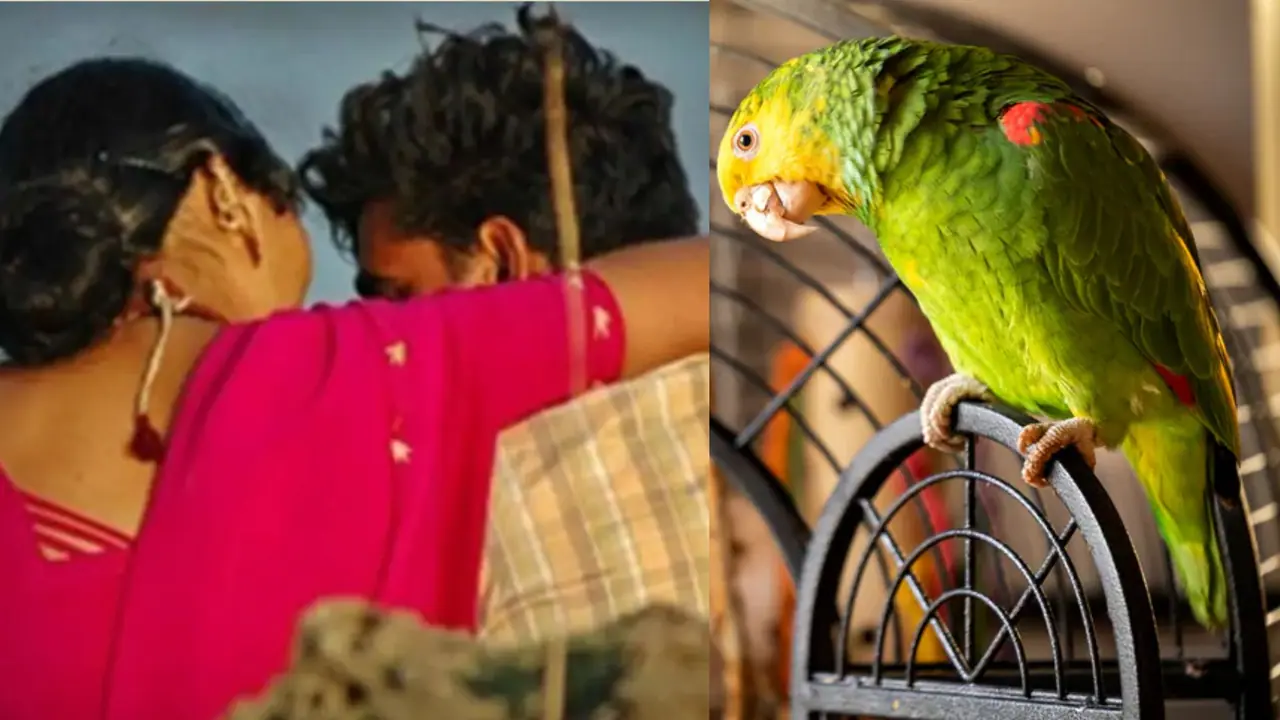 చిలుక చెప్పిన రహస్యం చిలుక చెప్పిన రహస్యం