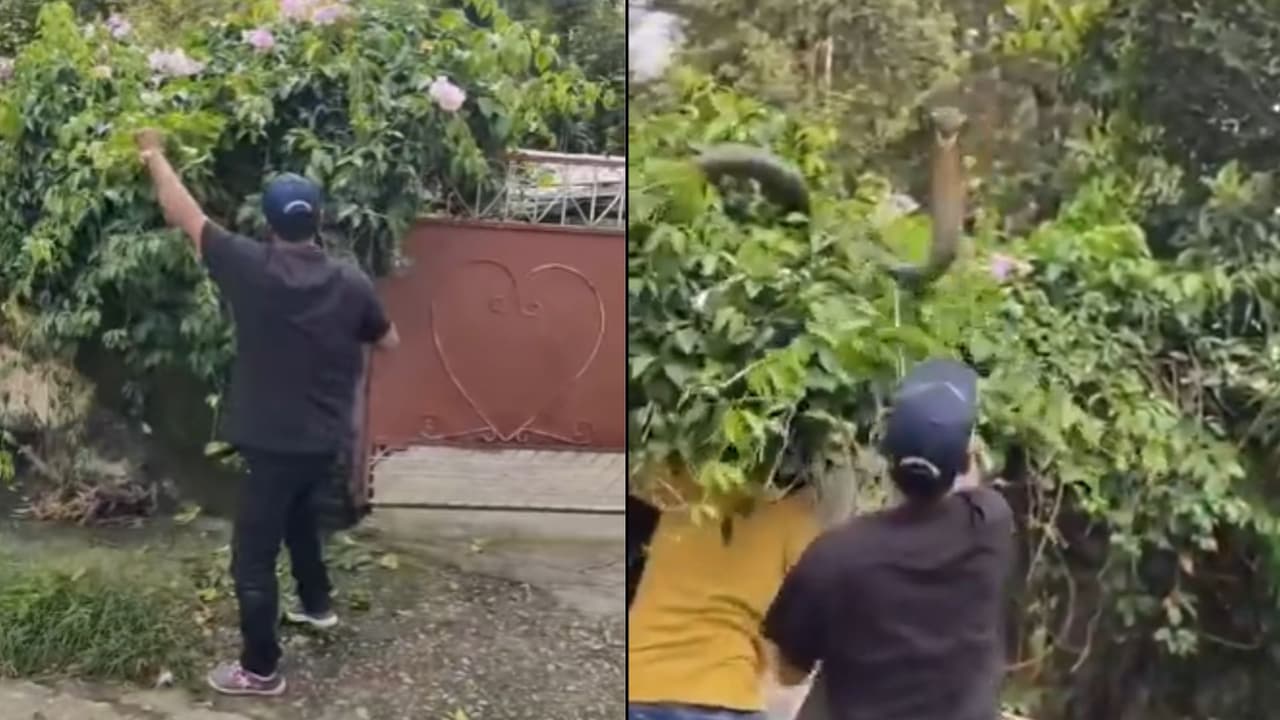 అస‌లేం జ‌రిగిందంటే.?