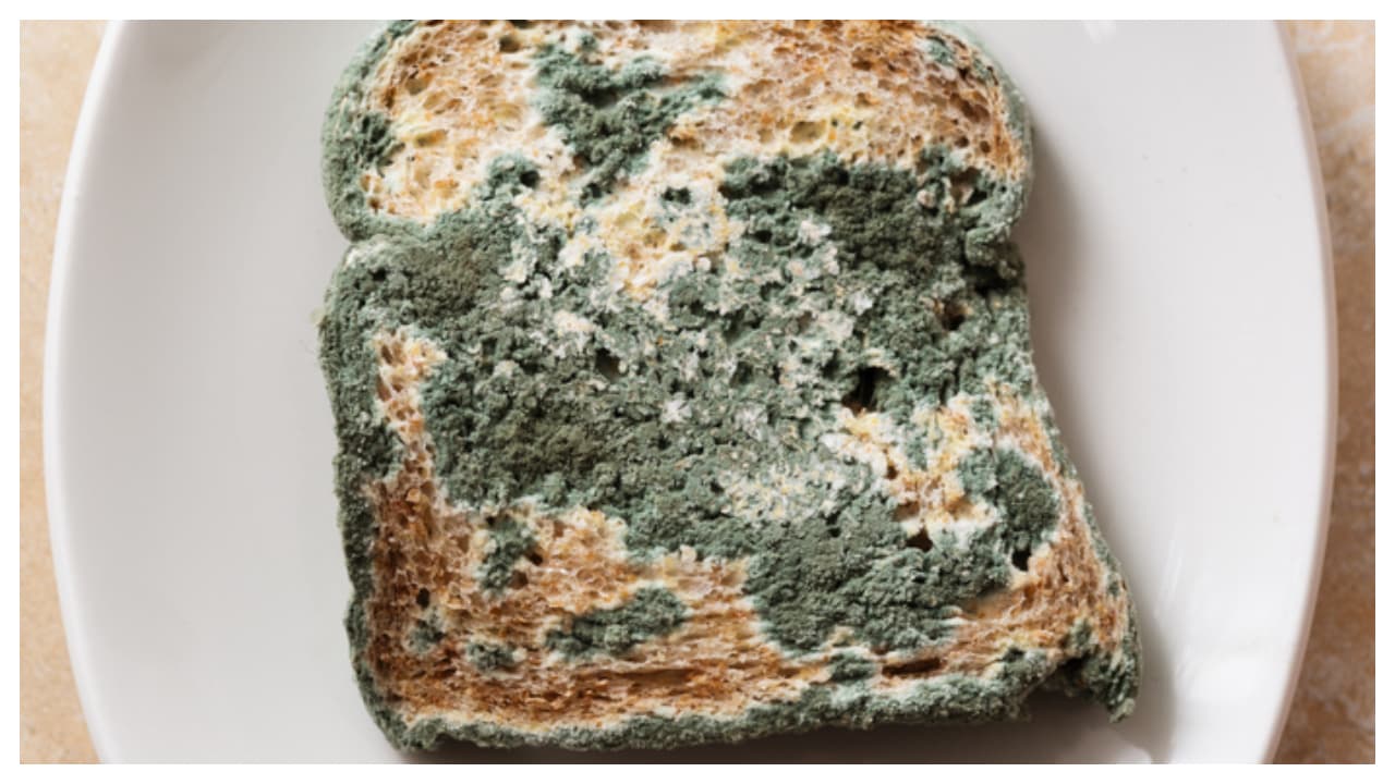 കേടുവന്ന ഭക്ഷണം 