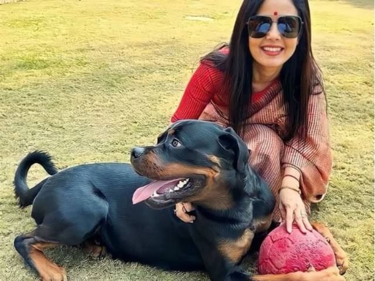 আদালতে গড়াল মহুয়ার পোষ্যের ঝামেলা আদালতে গড়াল মহুয়ার পোষ্যের ঝামেলা