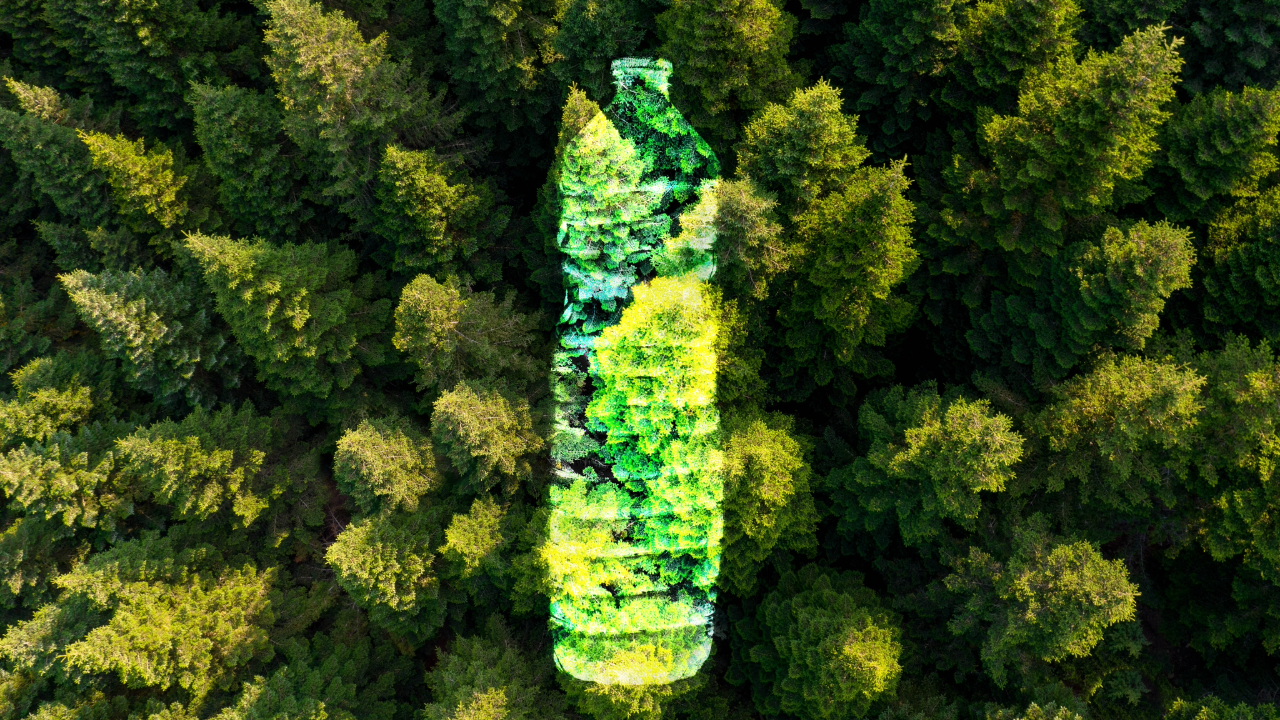 Biodegradable Plastic