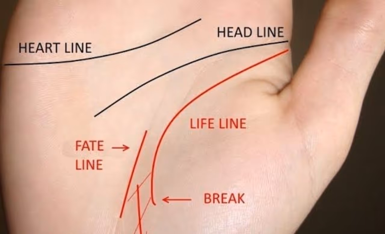 ரேகை தேவையில்லை கை மட்டும் போதும்