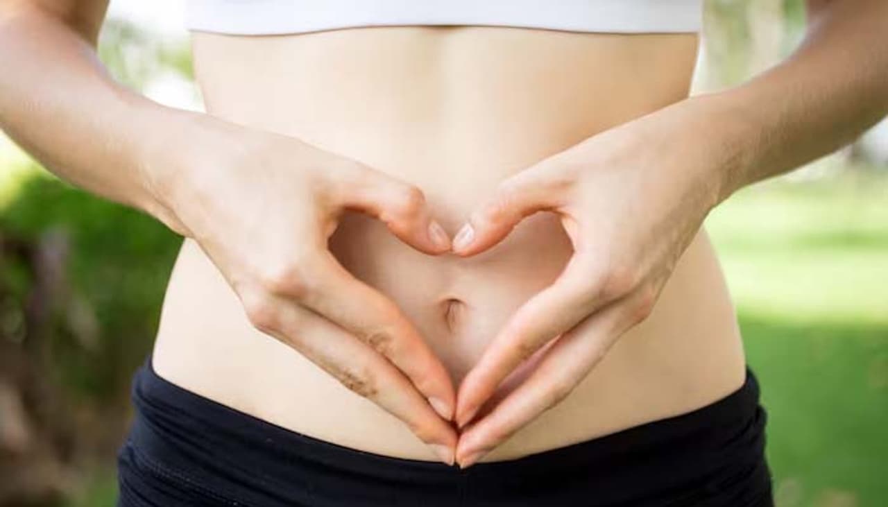 Best Herbs for Gut Health