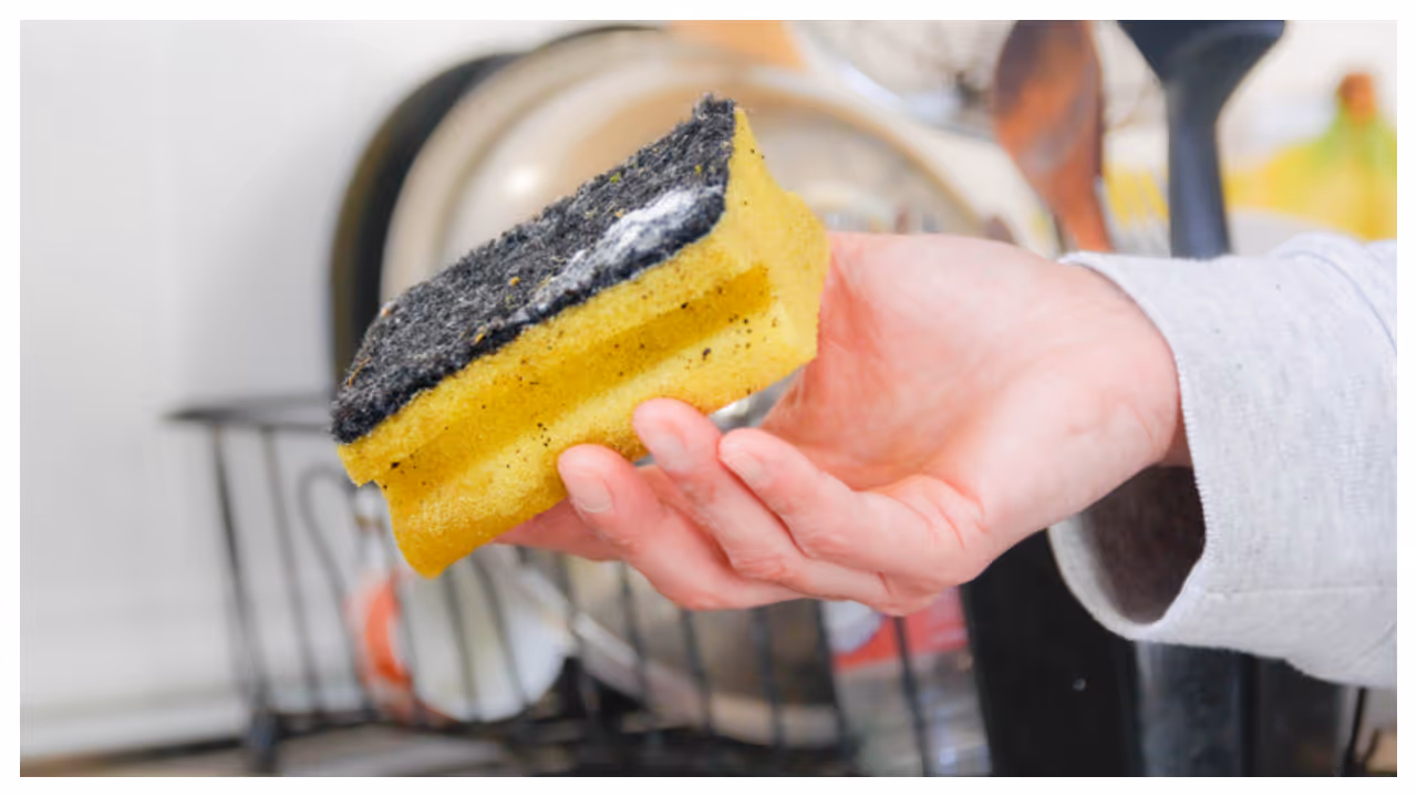 മാലിന്യങ്ങൾ 