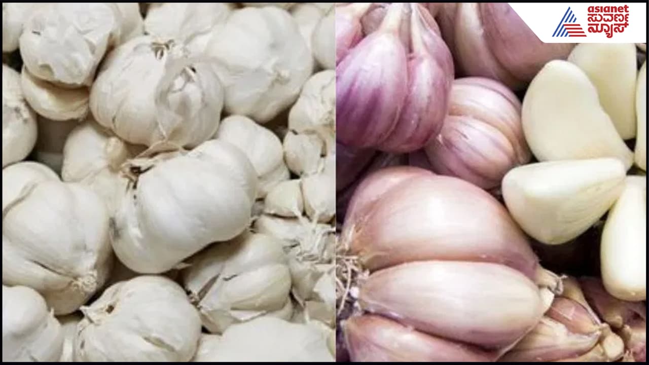 ಚೀನಾದ ಬೆಳ್ಳುಳ್ಳಿ ಕಿತಾಪತಿ!