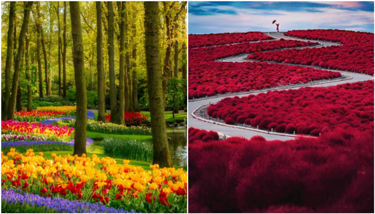 Places made famous by Flowers Places made famous by Flowers