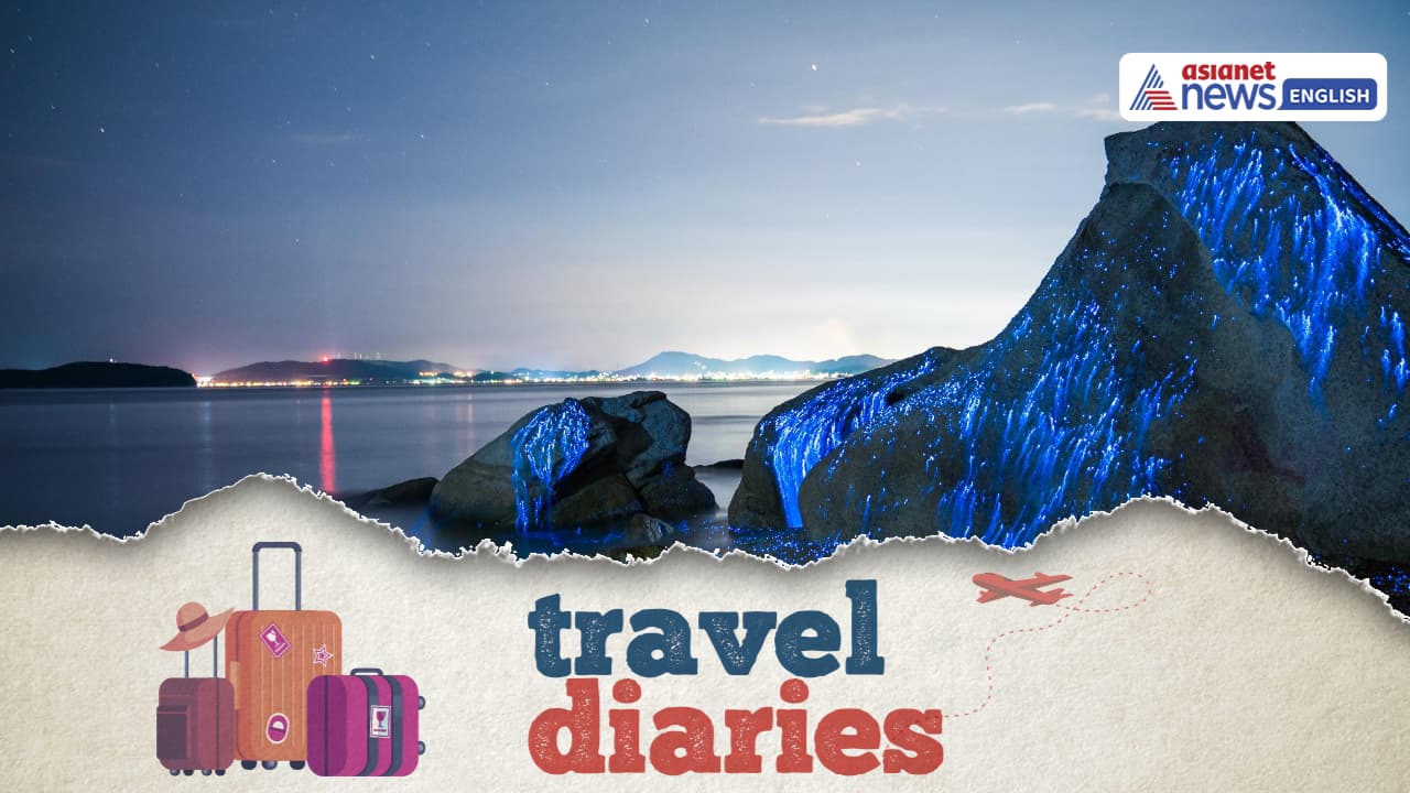 Experience The Magic Up Close