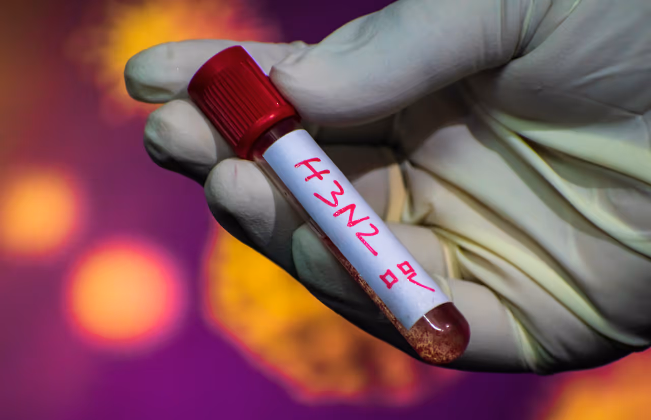 কী এই পরিবর্তিত স্ট্রেন, H3N2 সাবক্লেড কে