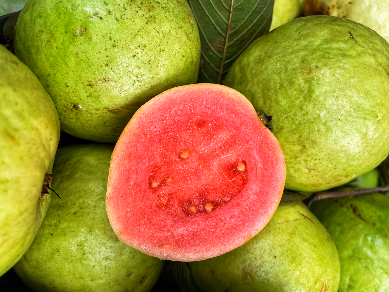 विटामिन c का खजाना है अमरूद विटामिन c का खजाना है अमरूद