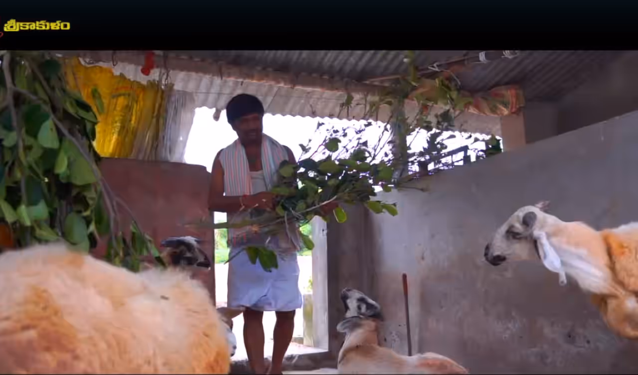 గొర్రెల కాపరి నుండి గవర్నమెంట్ టీచర్ వరకు...