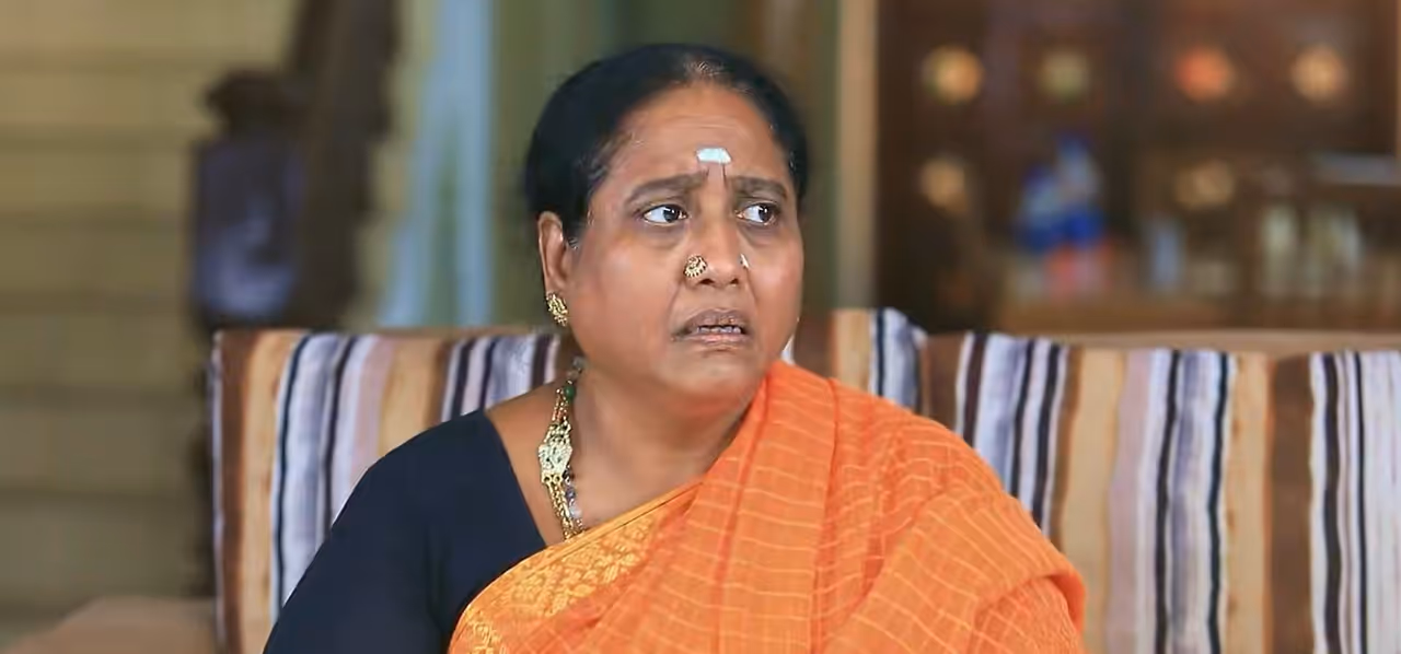 பாண்டியன் ஸ்டோர்ஸ் 2 சீரியல்