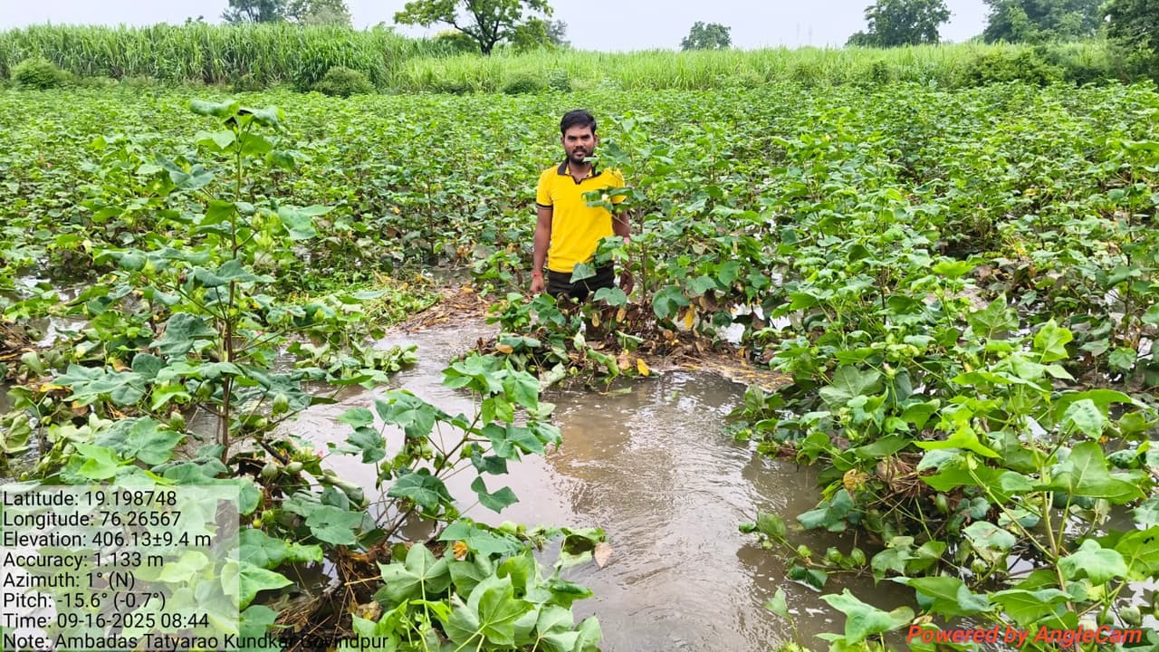 हवामान विभागाच्या अंदाजाने शेतकऱ्यांची उडवली झोप, २७ सप्टेंबरपासून परत अतिवृष्टी होणार हवामान विभागाच्या अंदाजाने शेतकऱ्यांची उडवली झोप, २७ सप्टेंबरपासून परत अतिवृष्टी होणार