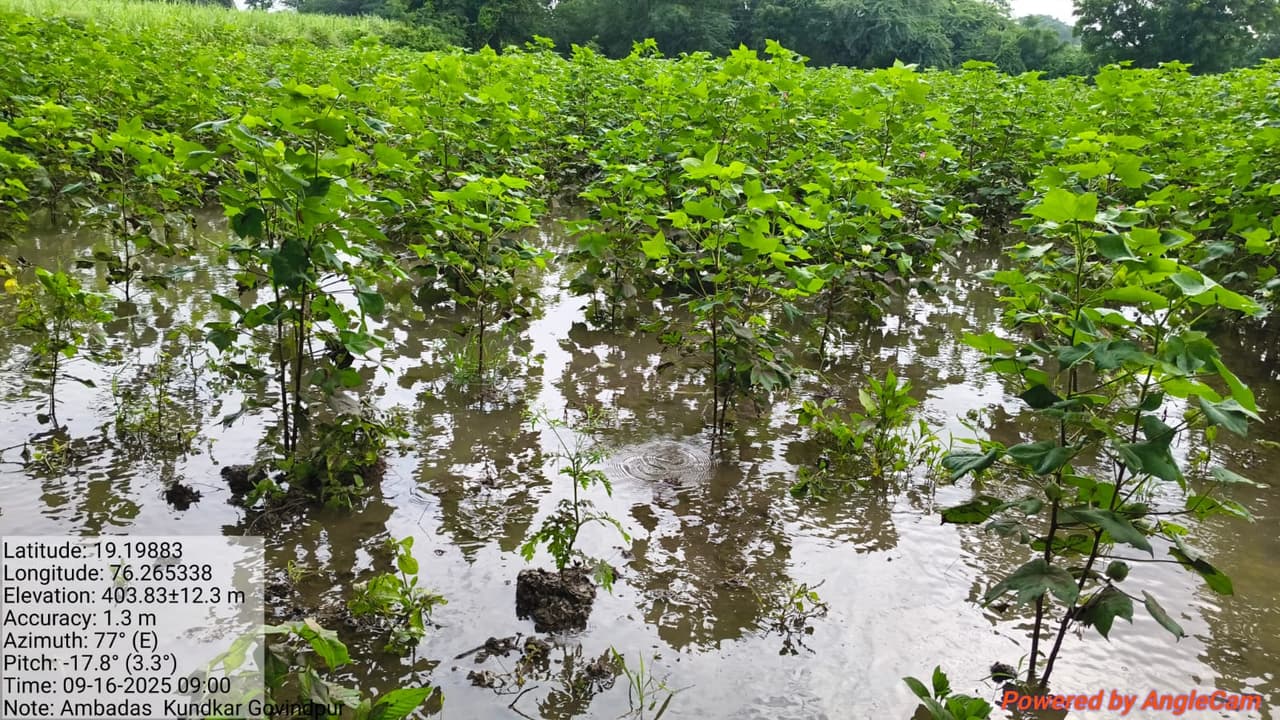 अतिवृष्टीमुळे शेतकऱ्यांचे प्रचंड नुकसान
