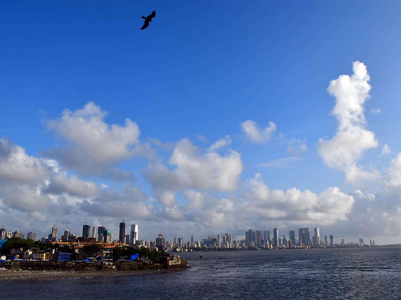 সম্পদের রিপোর্টকার্ড প্রকাশ্যে সম্পদের রিপোর্টকার্ড প্রকাশ্যে