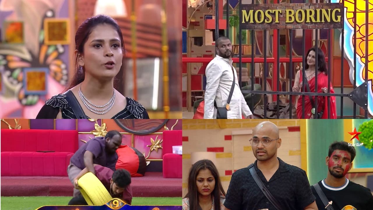 వైల్డ్ కార్డ్ ఎంట్రీల బజ్