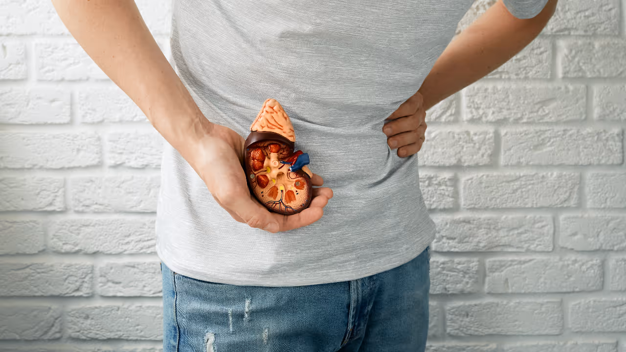  വൃക്കരോഗം ; ശരീരം കാണിക്കുന്ന ഏഴ് പ്രാരംഭ ലക്ഷണങ്ങൾ