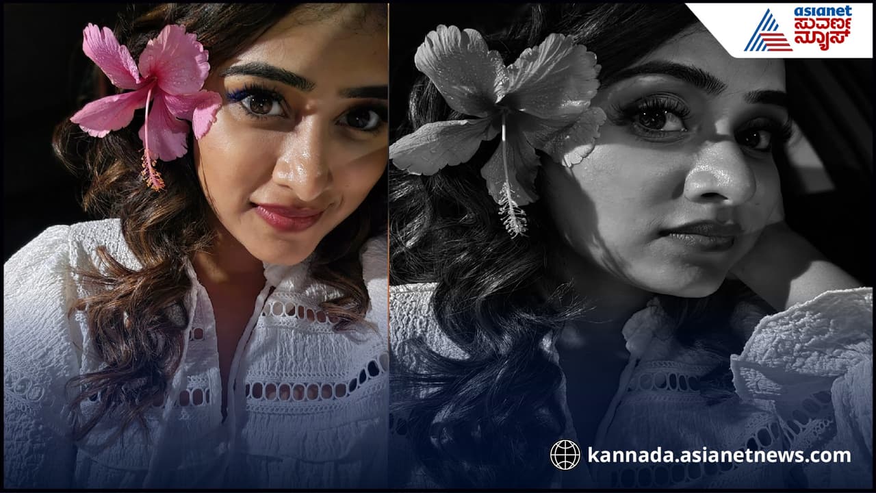 ಬಿಗ್ ಬಾಸ್ ಸಿಂಹಿಣಿ ಬಿಗ್ ಬಾಸ್ ಸಿಂಹಿಣಿ